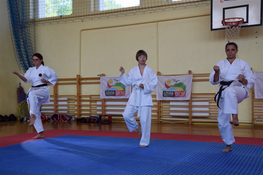 Grafika: Mistrzostwa Polskiej Federacji Okinawa Goju Ryu Karate Do.