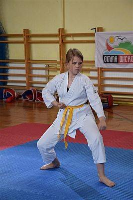 Grafika #15: Mistrzostwa Polskiej Federacji Okinawa Goju Ryu Karate Do.