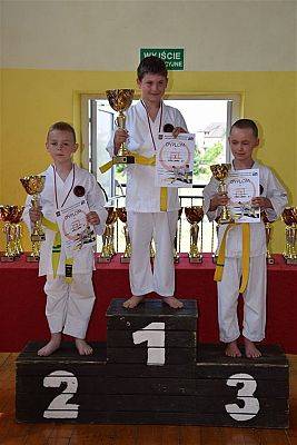 Grafika #11: Mistrzostwa Polskiej Federacji Okinawa Goju Ryu Karate Do.