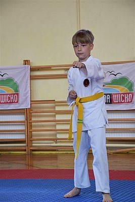 Grafika #7: Mistrzostwa Polskiej Federacji Okinawa Goju Ryu Karate Do.