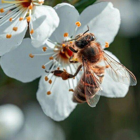 Grafika: Przypominamy o konieczności...